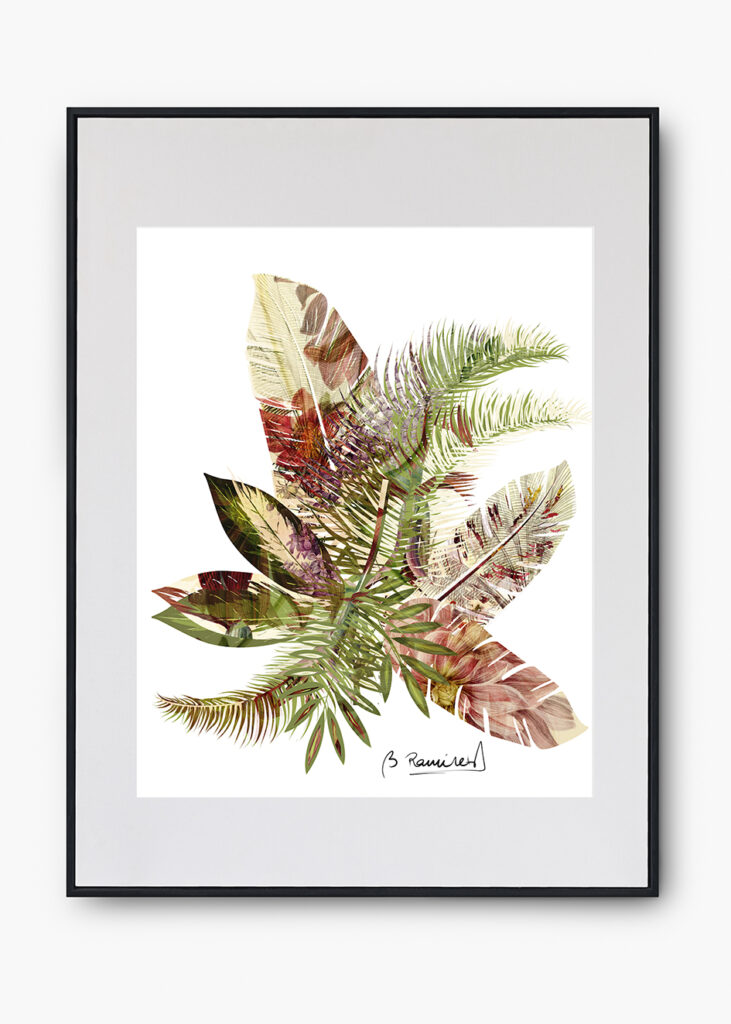 COLECCIÓN NATURALEZA