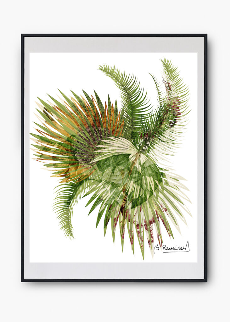 COLECCIÓN NATURALEZA