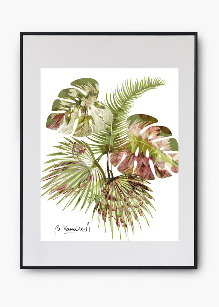 COLECCIÓN NATURALEZA