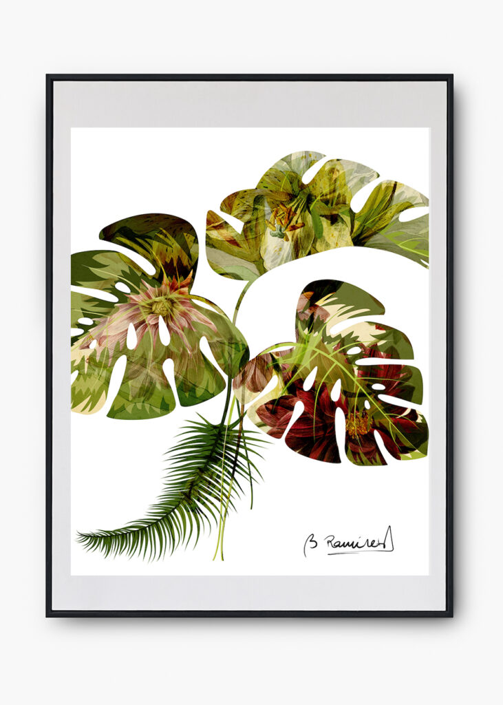 COLECCIÓN NATURALEZA