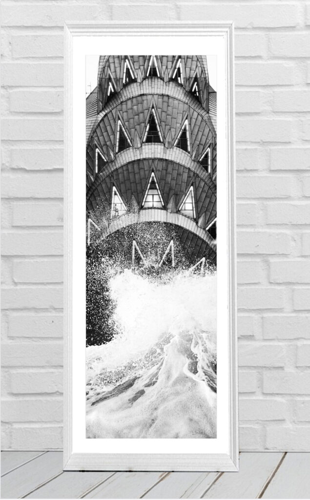 COLECCIÓN BLANCO Y NEGRO