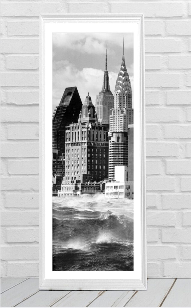 COLECCIÓN BLANCO Y NEGRO