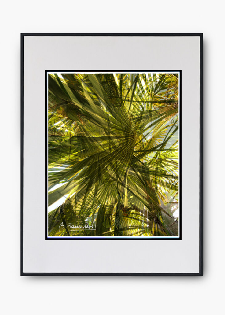 COLECCIÓN SERIES FOTOGRAFICAS