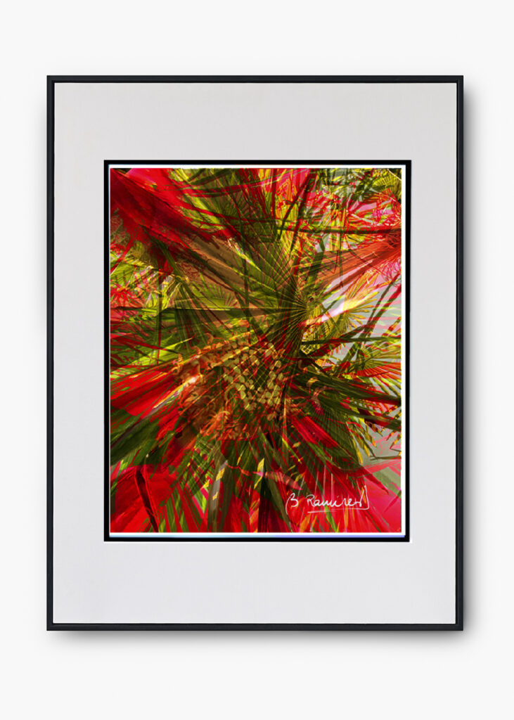 COLECCIÓN SERIES FOTOGRÁFICAS