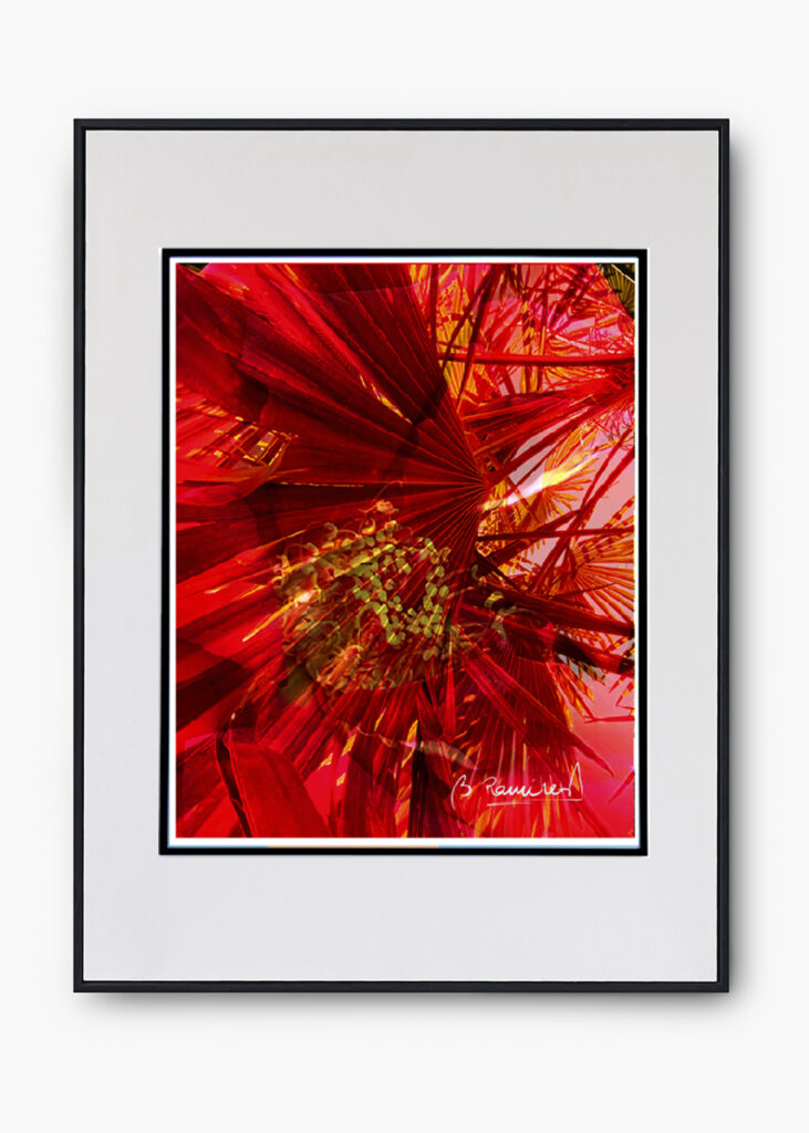 COLECCIÓN VARIACIONES FOTOGRÁFICAS