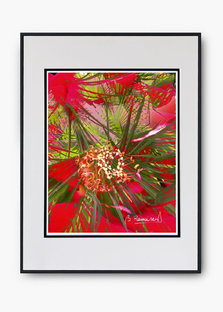 COLECCIÓN SERIES FOTOGRÁFICAS