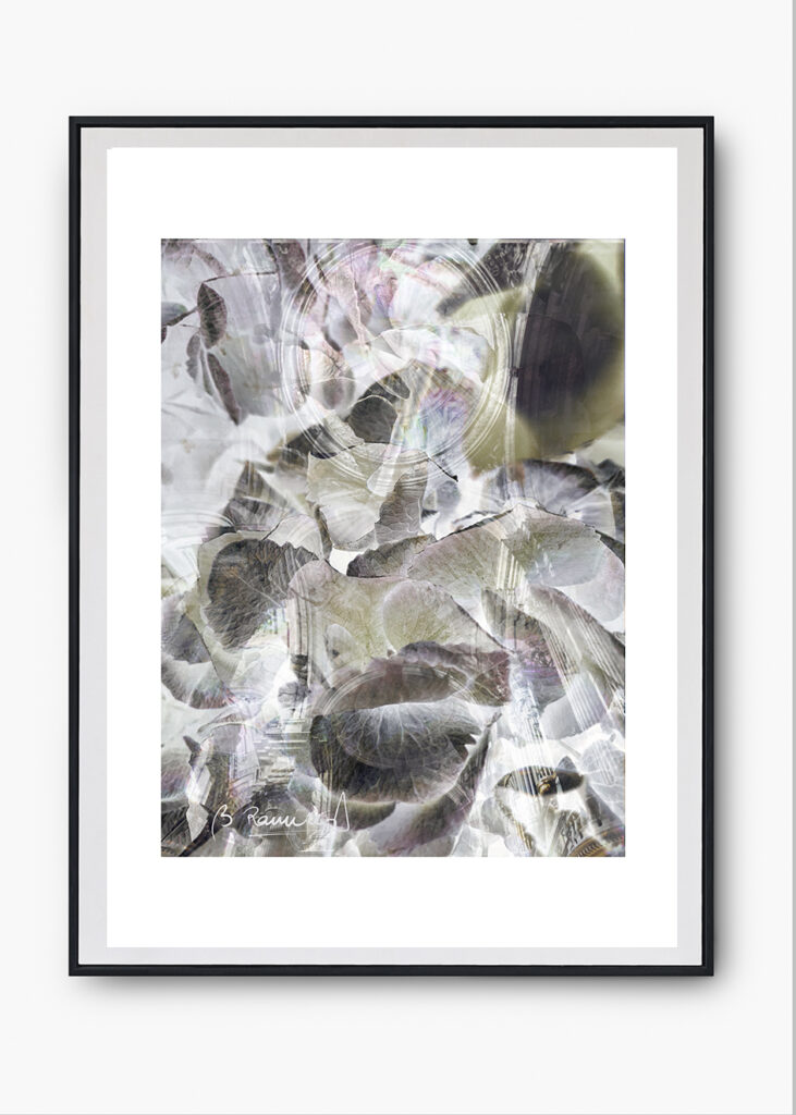 COLECCIÓN SERIES FOTOGRÁFICAS