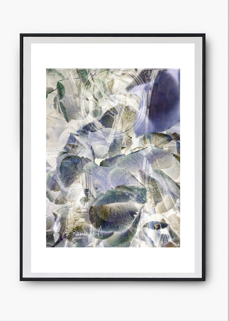 COLECCIONES SERIES FOTOGRÁFICAS