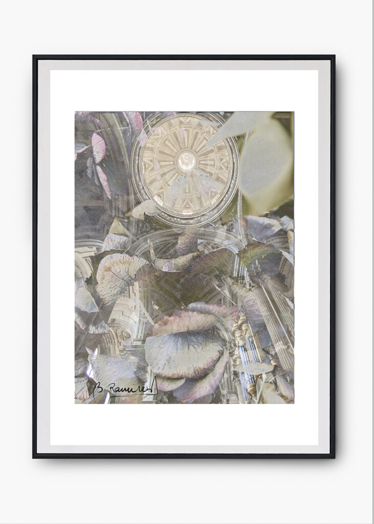 COLECCIÓN SERIES FOTOGRÁFICAS