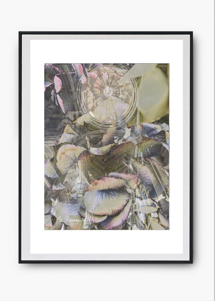 COLECCIÓN SERIES FOTOGRÁFICAS